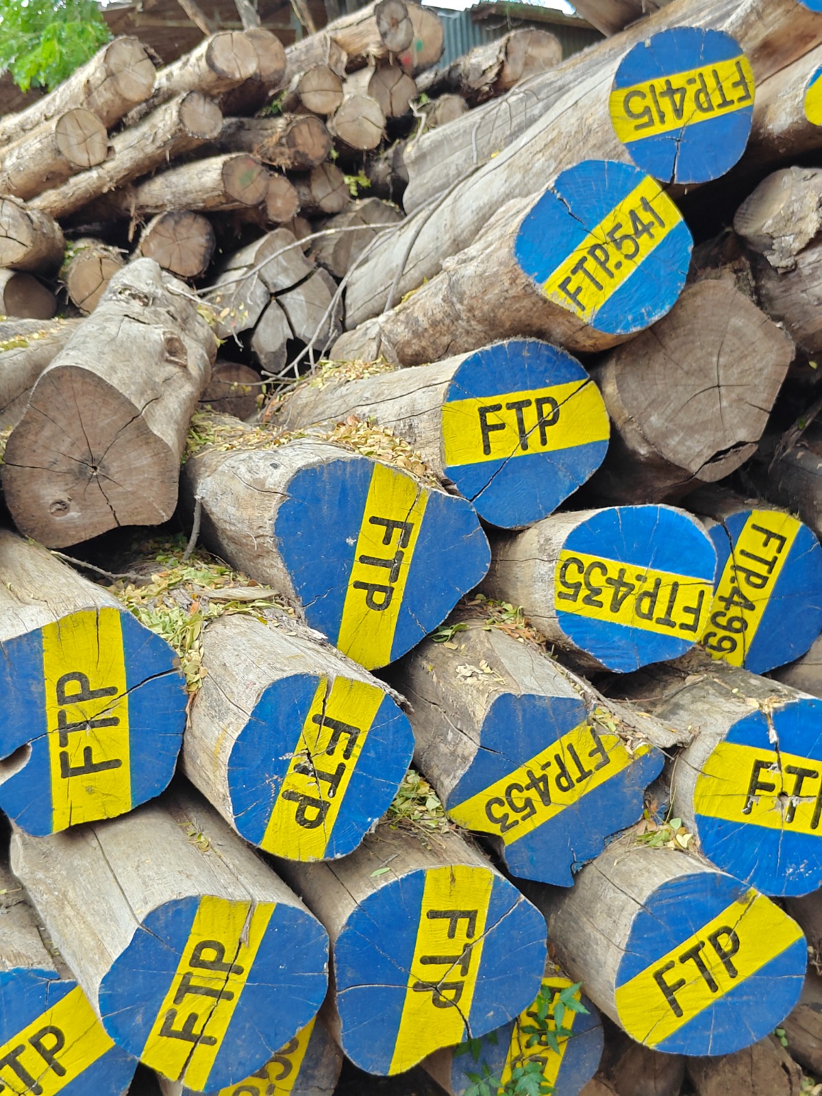 Quality-marked timber selection