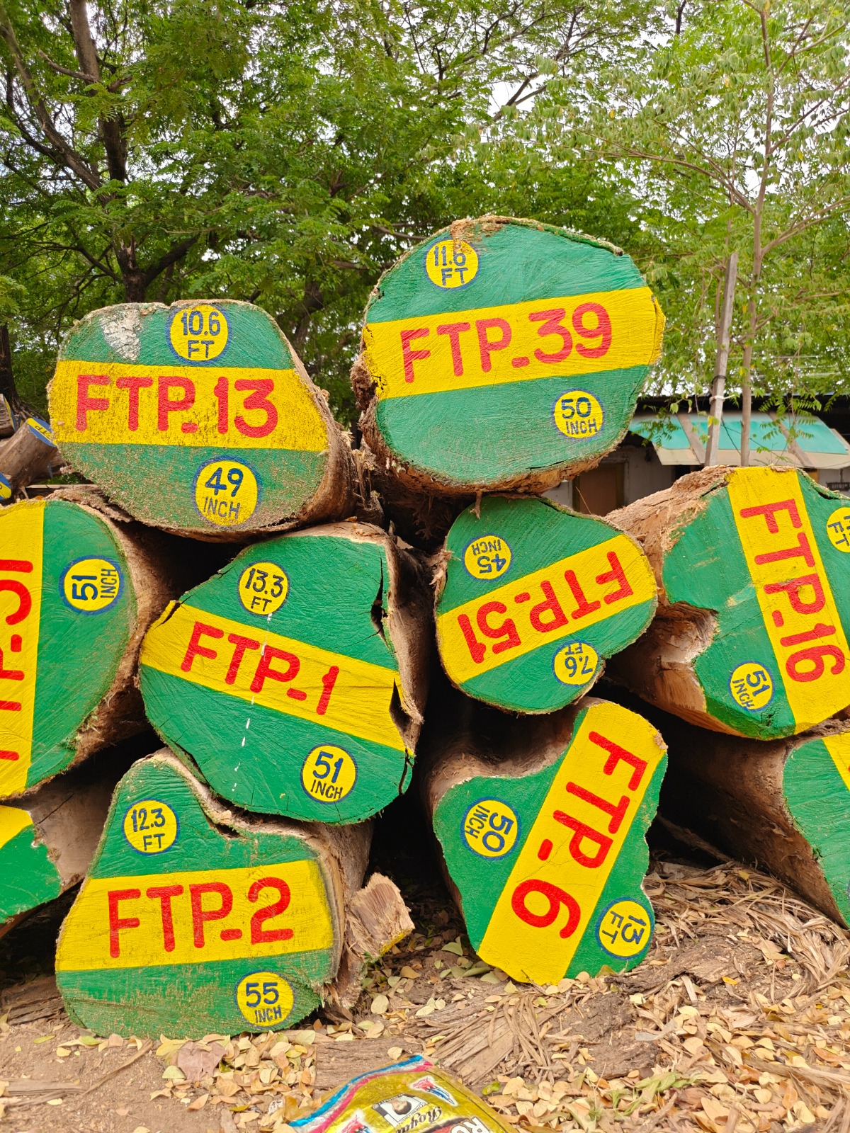 Quality-checked timber logs