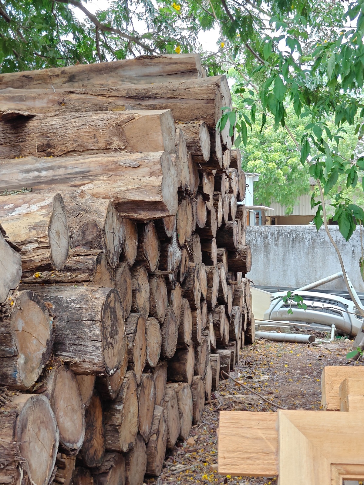 Raw timber selection