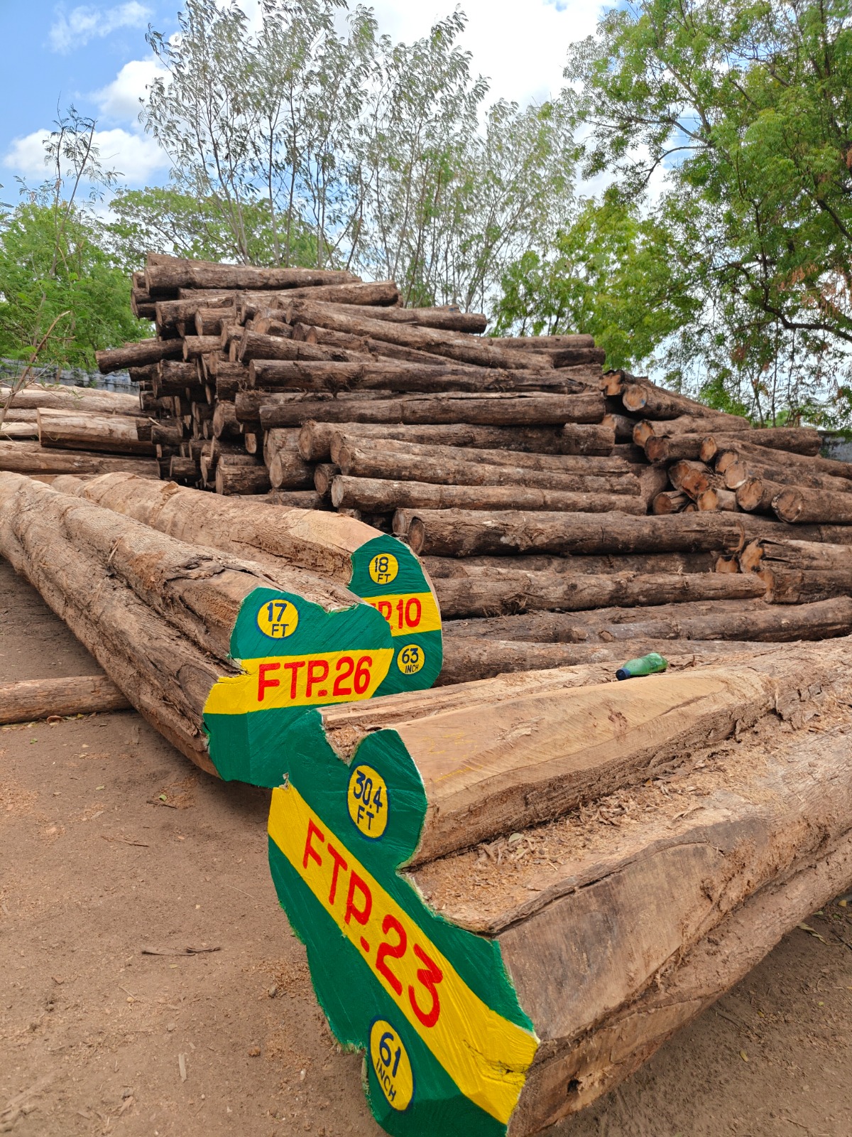Large timber stock at FATHIMA TIMBER & PLYWOODS