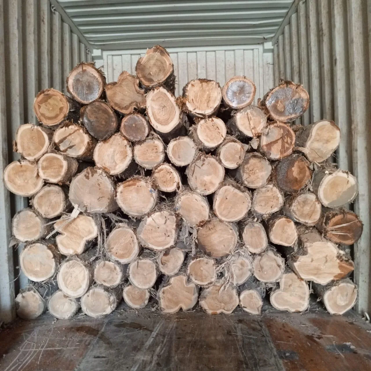 BRAZIL TEAK WOOD