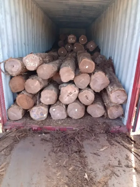 BURMA TEAK WOOD