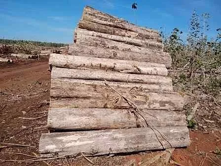 NIGERIAN TEAK WOOD