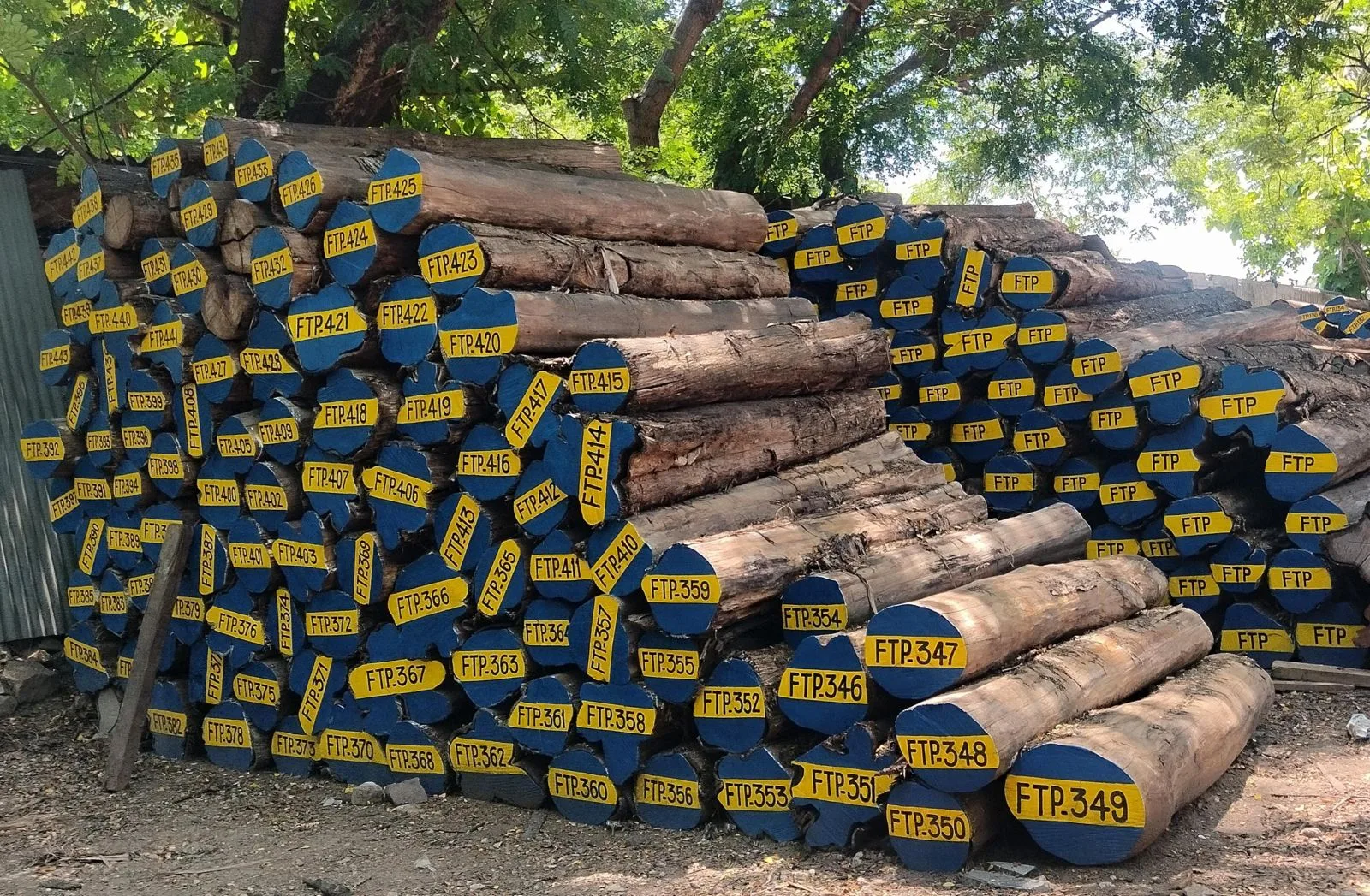 PANAMA TEAK WOOD