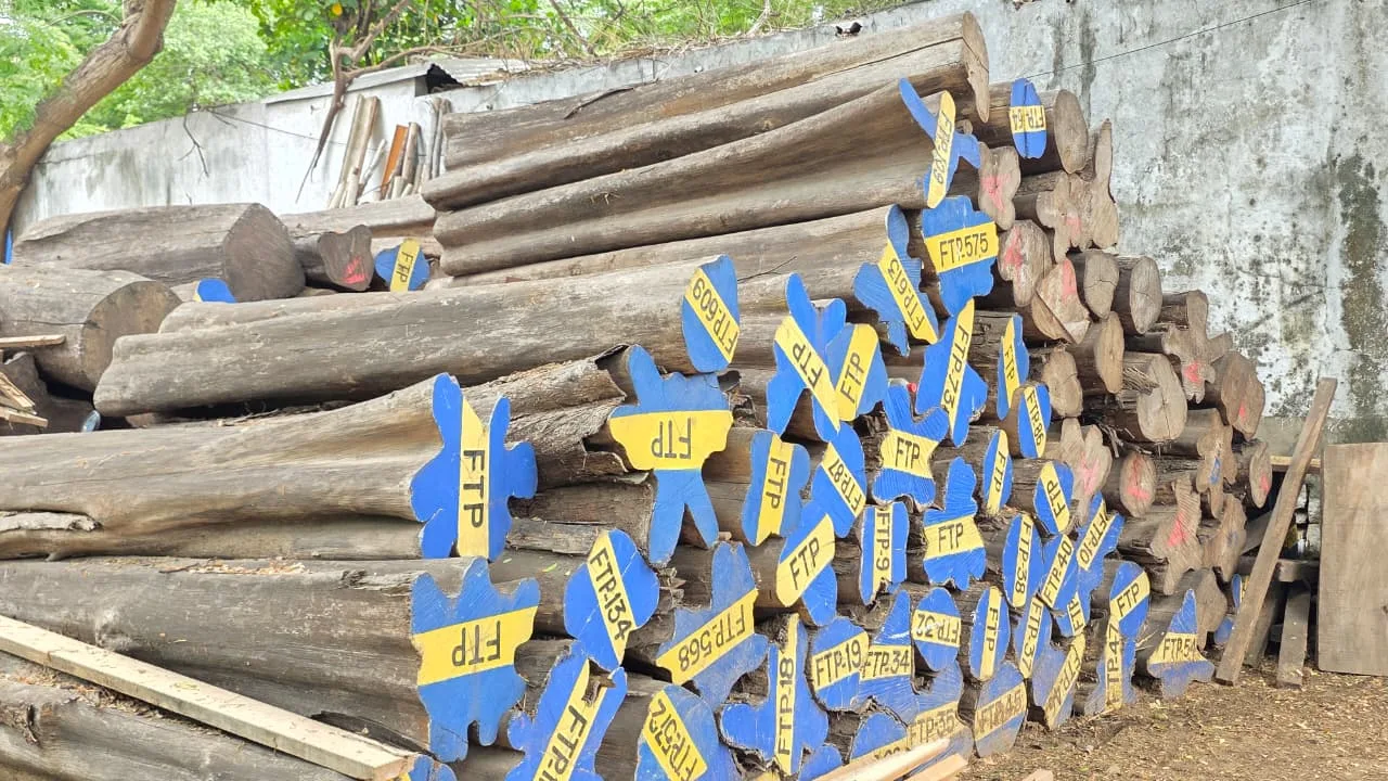 TOGO TEAK WOOD